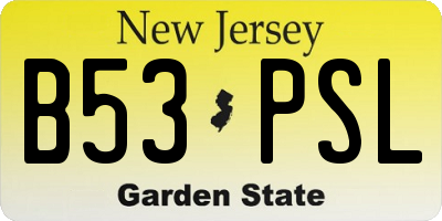NJ license plate B53PSL