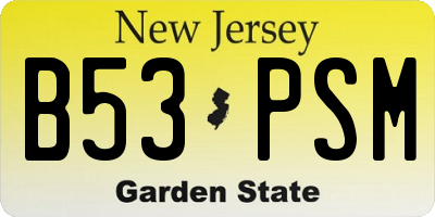 NJ license plate B53PSM