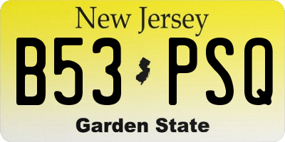 NJ license plate B53PSQ