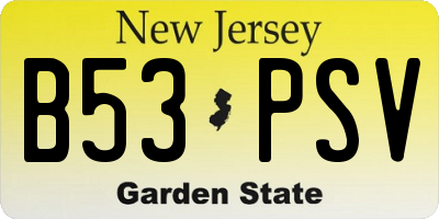 NJ license plate B53PSV