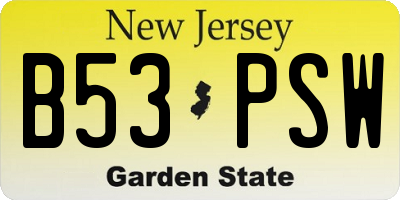 NJ license plate B53PSW