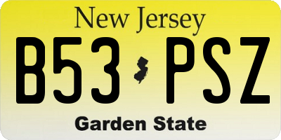 NJ license plate B53PSZ
