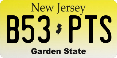 NJ license plate B53PTS