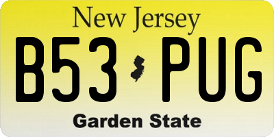 NJ license plate B53PUG