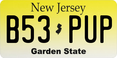 NJ license plate B53PUP