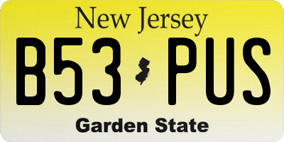 NJ license plate B53PUS