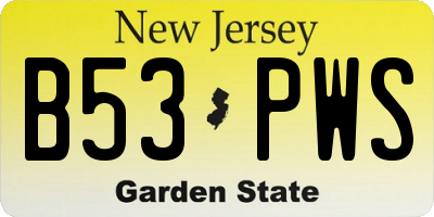 NJ license plate B53PWS