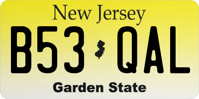 NJ license plate B53QAL