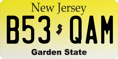 NJ license plate B53QAM