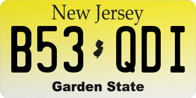 NJ license plate B53QDI