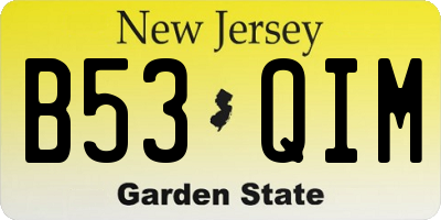 NJ license plate B53QIM