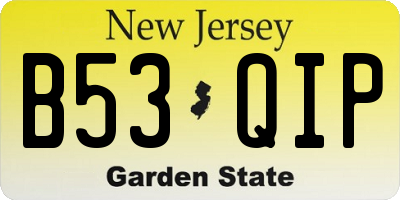 NJ license plate B53QIP