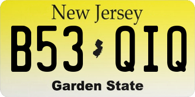 NJ license plate B53QIQ