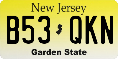 NJ license plate B53QKN