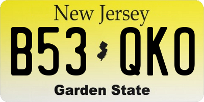 NJ license plate B53QKO