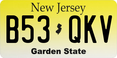 NJ license plate B53QKV