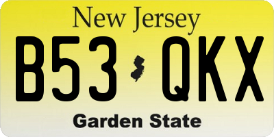 NJ license plate B53QKX