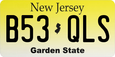 NJ license plate B53QLS