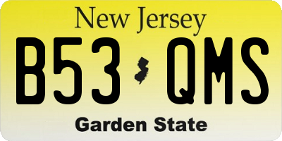 NJ license plate B53QMS