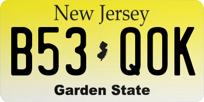 NJ license plate B53QOK