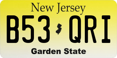 NJ license plate B53QRI