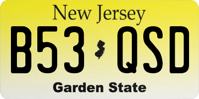 NJ license plate B53QSD