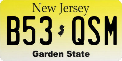 NJ license plate B53QSM