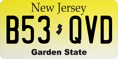 NJ license plate B53QVD