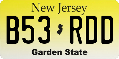 NJ license plate B53RDD
