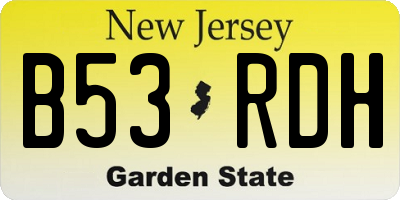 NJ license plate B53RDH