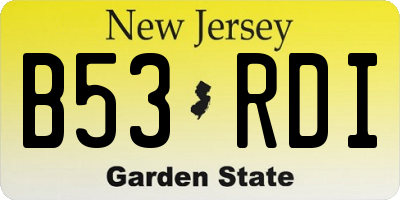 NJ license plate B53RDI