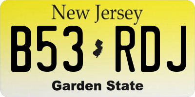 NJ license plate B53RDJ