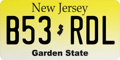 NJ license plate B53RDL