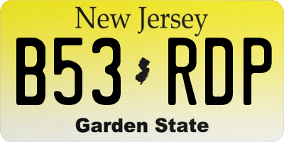 NJ license plate B53RDP