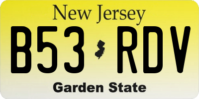 NJ license plate B53RDV