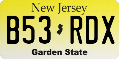 NJ license plate B53RDX