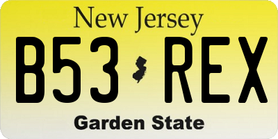 NJ license plate B53REX