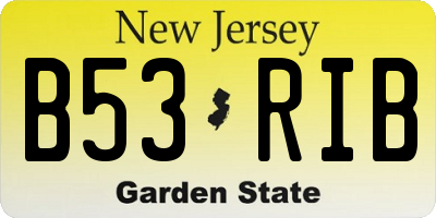 NJ license plate B53RIB