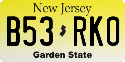 NJ license plate B53RKO