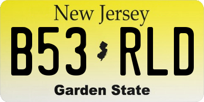NJ license plate B53RLD