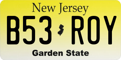 NJ license plate B53ROY