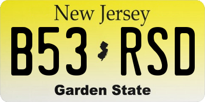 NJ license plate B53RSD