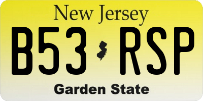 NJ license plate B53RSP
