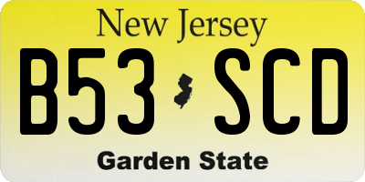 NJ license plate B53SCD