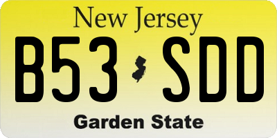 NJ license plate B53SDD