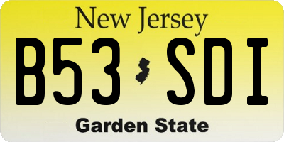 NJ license plate B53SDI