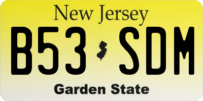 NJ license plate B53SDM