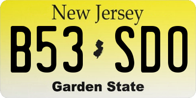 NJ license plate B53SDO