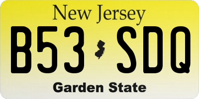 NJ license plate B53SDQ