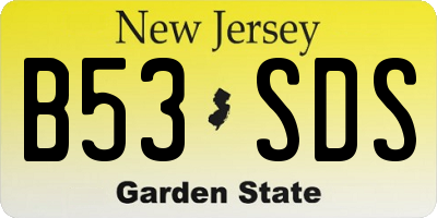 NJ license plate B53SDS